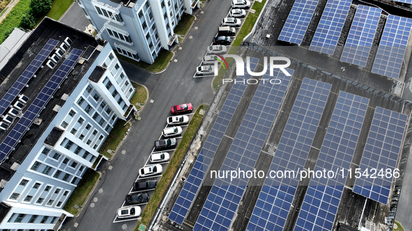 Rows of photovoltaic panels are seen on top of a New Materials company house in Haian, China, on September 3, 2024. 