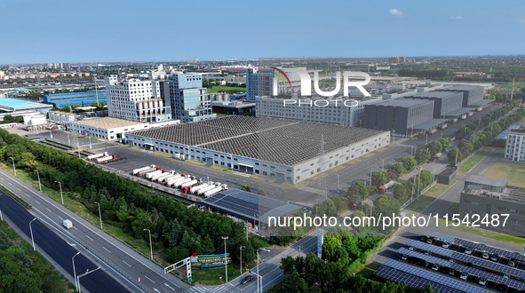 Rows of photovoltaic panels are seen on top of a New Materials company house in Haian, China, on September 3, 2024. 