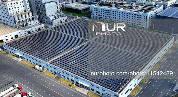 Rows of photovoltaic panels are seen on top of a New Materials company house in Haian, China, on September 3, 2024. 