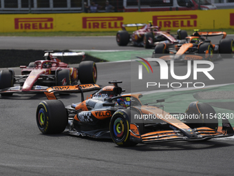 Oscar Piastri of Australia drives the (81) McLaren F1 Team MCL38 Mercedes during the race of the Formula 1 Pirelli Gran Premio d'Italia 2024...