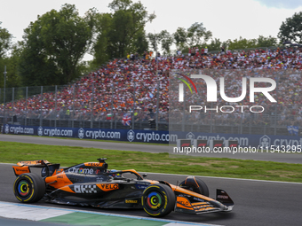 Oscar Piastri of Australia drives the (81) McLaren F1 Team MCL38 Mercedes during the race of the Formula 1 Pirelli Gran Premio d'Italia 2024...