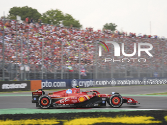 Carlos Sainz Jr. of Spain drives the (55) Scuderia Ferrari SF-24 Ferrari during the race of the Formula 1 Pirelli Gran Premio d'Italia 2024...