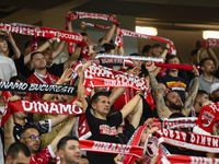 Fans of Dinamo during Universitatea Cluj vs. Dinamo Bucuresti in Cluj-Napoca, Romania, on September 2, 2024 (