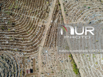 An aerial view of a plantation during the drought season in Purwosari subdistrict, Gunung Kidul Regency, Yogyakarta Province, Indonesia, on...