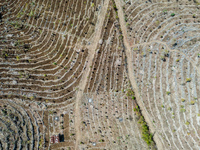 An aerial view of a plantation during the drought season in Purwosari subdistrict, Gunung Kidul Regency, Yogyakarta Province, Indonesia, on...