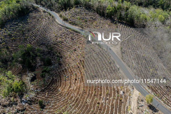 An aerial view of a plantation during the drought season in Purwosari subdistrict, Gunung Kidul Regency, Yogyakarta Province, Indonesia, on...