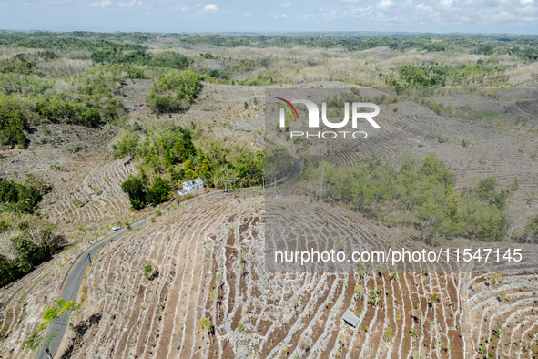 An aerial view of a plantation during the drought season in Purwosari subdistrict, Gunung Kidul Regency, Yogyakarta Province, Indonesia, on...