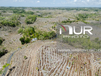 An aerial view of a plantation during the drought season in Purwosari subdistrict, Gunung Kidul Regency, Yogyakarta Province, Indonesia, on...