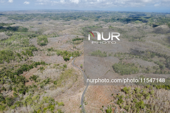 An aerial view of the plantation during drought season in Purwosari subdistrict, Gunung Kidul Regency, Yogyakarta Province, Indonesia, on Se...