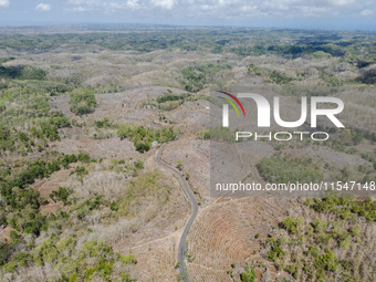 An aerial view of the plantation during drought season in Purwosari subdistrict, Gunung Kidul Regency, Yogyakarta Province, Indonesia, on Se...