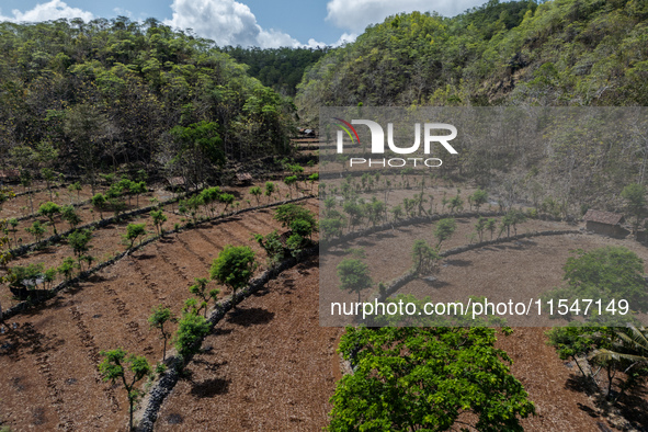 An aerial view of a plantation during the drought season in Tepus Village, Gunung Kidul Regency, Yogyakarta Province, Indonesia, on Septembe...