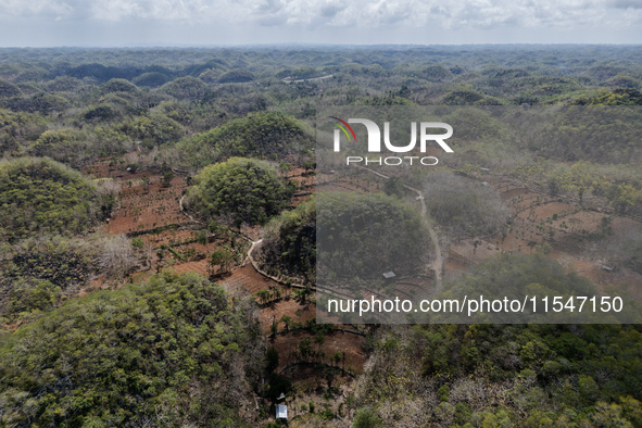 An aerial view of a plantation during the drought season in Tepus Village, Gunung Kidul Regency, Yogyakarta Province, Indonesia, on Septembe...