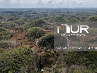 An aerial view of a plantation during the drought season in Tepus Village, Gunung Kidul Regency, Yogyakarta Province, Indonesia, on Septembe...