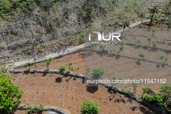 Villagers walk towards a plantation to work during the drought season in Tepus Village, Gunung Kidul Regency, Yogyakarta Province, Indonesia...