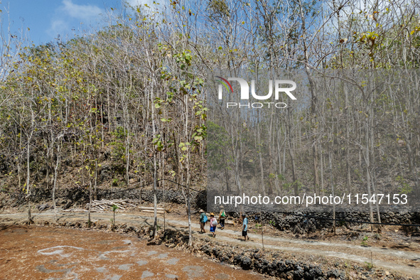 Villagers walk towards a plantation to work during the drought season in Tepus Village, Gunung Kidul Regency, Yogyakarta Province, Indonesia...