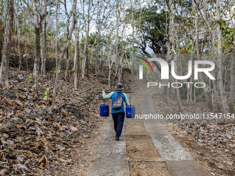 A villager carries water containers after collecting water for their livestock and plantation during the drought season in Tepus Village, Gu...