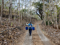 A villager carries water containers after collecting water for their livestock and plantation during the drought season in Tepus Village, Gu...