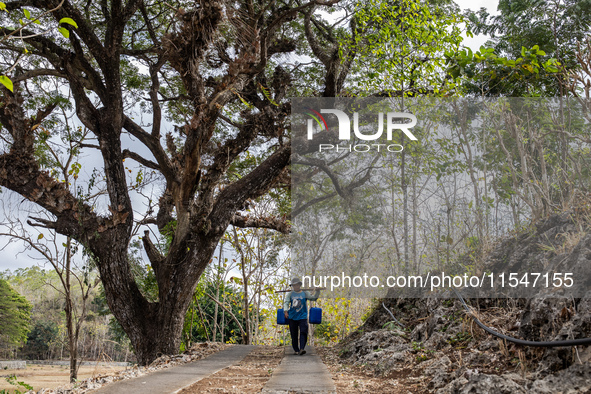 A villager carries water containers after collecting water for their livestock and plantation during the drought season in Tepus Village, Gu...