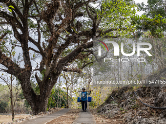 A villager carries water containers after collecting water for their livestock and plantation during the drought season in Tepus Village, Gu...