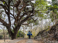 A villager carries water containers after collecting water for their livestock and plantation during the drought season in Tepus Village, Gu...