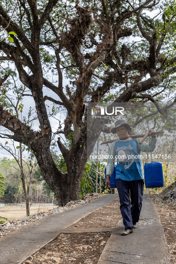 A villager carries water containers after collecting water for their livestock and plantation during the drought season in Tepus Village, Gu...