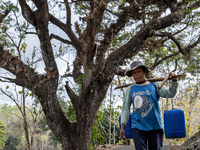 A villager carries water containers after collecting water for their livestock and plantation during the drought season in Tepus Village, Gu...