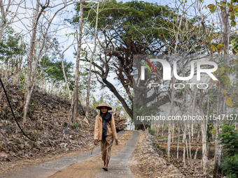 A villager carries wood during the drought season in Tepus Village, Gunung Kidul Regency, Yogyakarta Province, Indonesia, on September 5, 20...