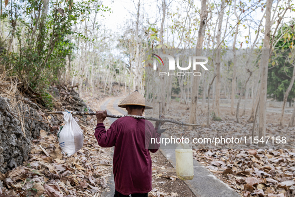 A villager carries water containers after collecting water for their livestock and plantation during the drought season in Tepus Village, Gu...