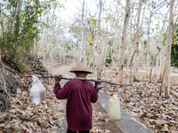 A villager carries water containers after collecting water for their livestock and plantation during the drought season in Tepus Village, Gu...