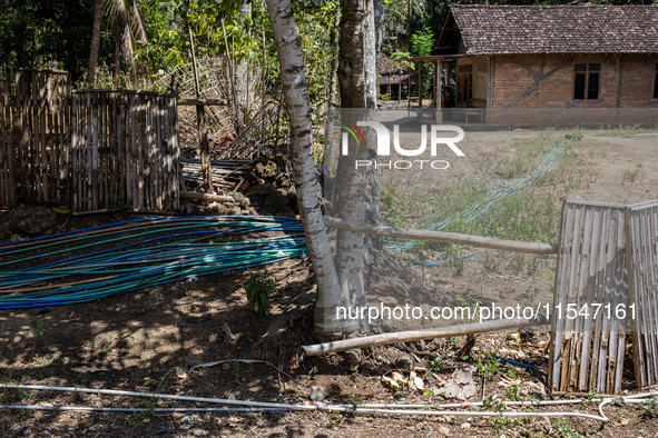 A number of water hoses are around the house and road surface during drought season in Selopamioro Village, Bantul Regency, Yogyakarta Provi...