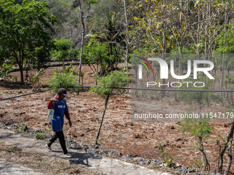 A villager carries water containers after collecting water for their livestock and plantation during the drought season in Tepus Village, Gu...