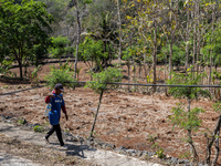 A villager carries water containers after collecting water for their livestock and plantation during the drought season in Tepus Village, Gu...