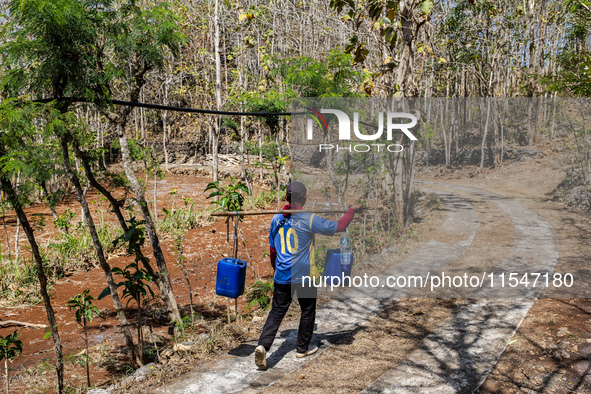 A villager carries water containers after collecting water for their livestock and plantation during the drought season in Tepus Village, Gu...