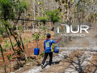 A villager carries water containers after collecting water for their livestock and plantation during the drought season in Tepus Village, Gu...