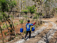 A villager carries water containers after collecting water for their livestock and plantation during the drought season in Tepus Village, Gu...