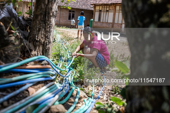 A woman connects a water hose to the only water source to her house during drought season in Selopamioro Village, Bantul Regency, Yogyakarta...