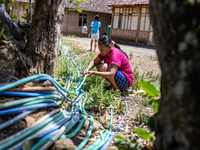 A woman connects a water hose to the only water source to her house during drought season in Selopamioro Village, Bantul Regency, Yogyakarta...