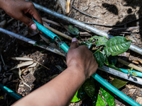 A woman connects a water hose to the only water source to her house during drought season in Selopamioro Village, Bantul Regency, Yogyakarta...