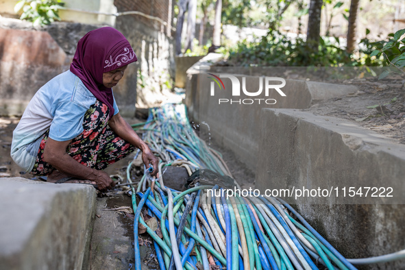 A woman connects a water hose to the only water source to her house during drought season in Selopamioro Village, Bantul Regency, Yogyakarta...