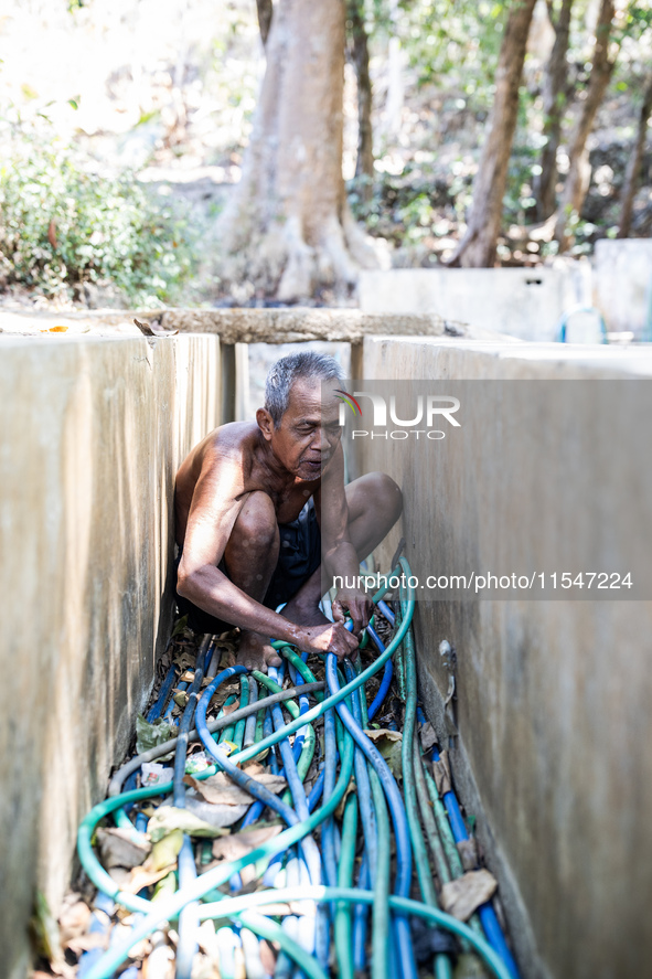 Sarjono (73), an elderly blind man, connects a water hose to the only water source to his house during the drought season in Selopamioro Vil...