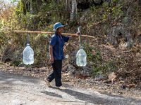 A villager carries water containers after collecting water for their livestock and plantation during the drought season in Tepus Village, Gu...