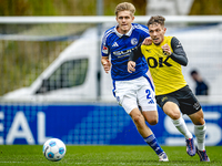 SC Schalke 04 player Martin Wasinski and NAC player Roy Kuijpers during the match Schalke 04 vs. NAC (friendly) at the Parkstadium for the D...