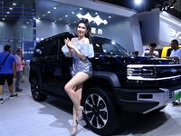 A model displays a new car at the 23rd Autumn International Auto Show in Qingdao, China, on September 5, 2024. (