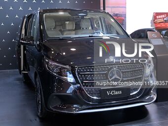 People look at various vehicles at the 23rd Autumn International Auto Show in Qingdao, China, on September 5, 2024. (