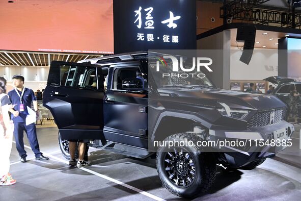 People look at various vehicles at the 23rd Autumn International Auto Show in Qingdao, China, on September 5, 2024. 