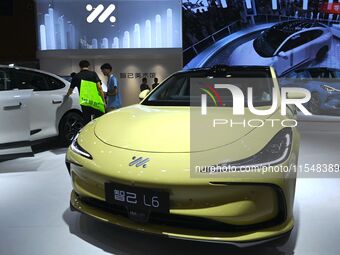 People look at various vehicles at the 23rd Autumn International Auto Show in Qingdao, China, on September 5, 2024. (