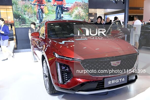 People look at various vehicles at the 23rd Autumn International Auto Show in Qingdao, China, on September 5, 2024. 