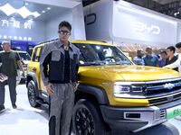 A model displays a new car at the 23rd Autumn International Auto Show in Qingdao, China, on September 5, 2024. (