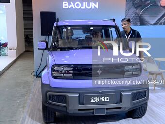 People look at various vehicles at the 23rd Autumn International Auto Show in Qingdao, China, on September 5, 2024. (