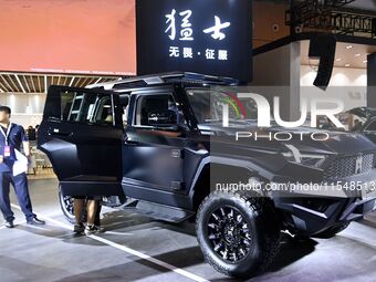 People look at various vehicles at the 23rd Autumn International Auto Show in Qingdao, China, on September 5, 2024. (